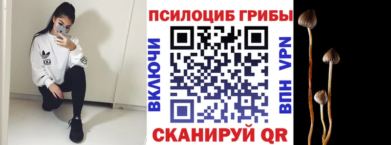 МЕГА как зайти  Фёдоровский  Псилоцибиновые грибы GOLDEN TEACHER 